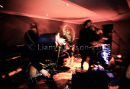 Gilded Lily, Sandsifter